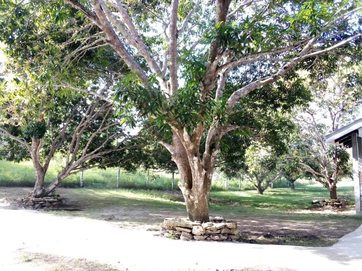 Guindulman Balai Mariacaria Pension House מראה חיצוני תמונה